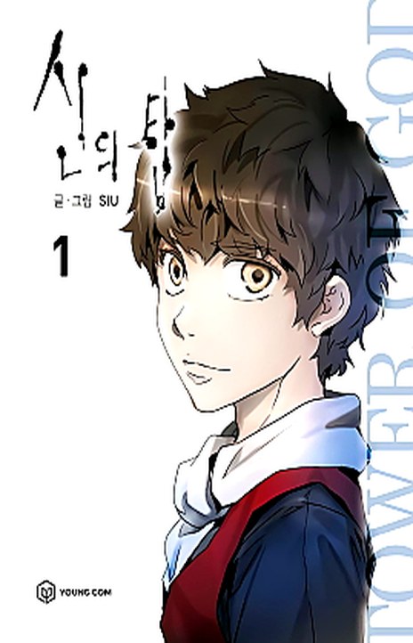 Tower of God FR Cover Image